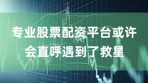 专业股票配资平台或许会直呼遇到了救星