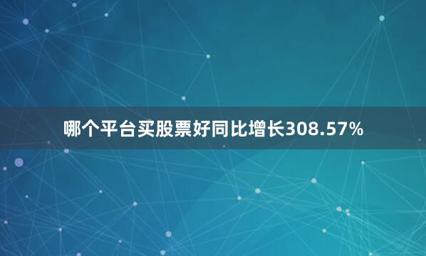 哪个平台买股票好同比增长308.57%