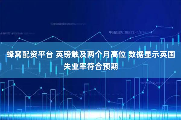 蜂窝配资平台 英镑触及两个月高位 数据显示英国失业率符合预期