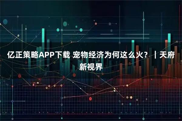 亿正策略APP下载 宠物经济为何这么火？｜天府新视界