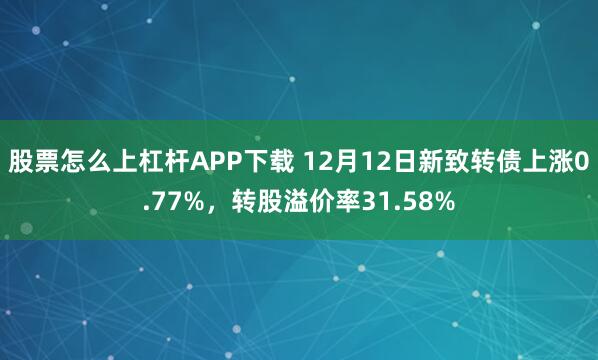 股票怎么上杠杆APP下载 12月12日新致转债上涨0.77%，转股溢价率31.58%