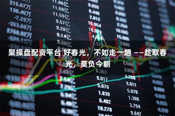 聚操盘配资平台 好春光，不如走一趟 ——趁取春光，莫负今朝