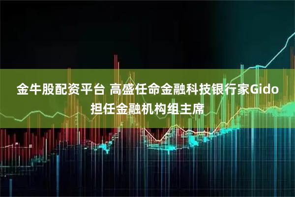 金牛股配资平台 高盛任命金融科技银行家Gido担任金融机构组主席